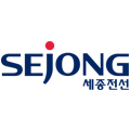 세종전선