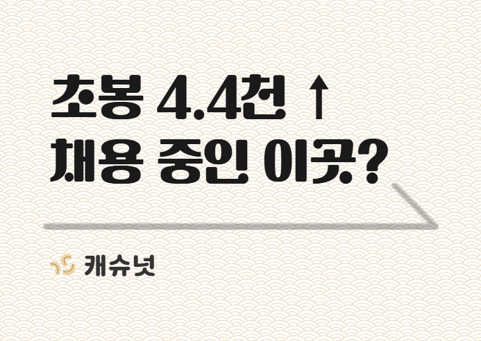 초봉 4.4천↑ 지금 채용 중인 ㅎㅇㅇㅇㅈ | 취준생 뉴스레터 캐슈넛 