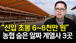  “복지포인트 연 280만 원” 성과급도 매년 터지는 숨은 농협 계열사 공개